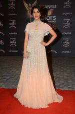 Sophie Chaudhary at the red carpet of Stardust awards on 21st Dec 2015